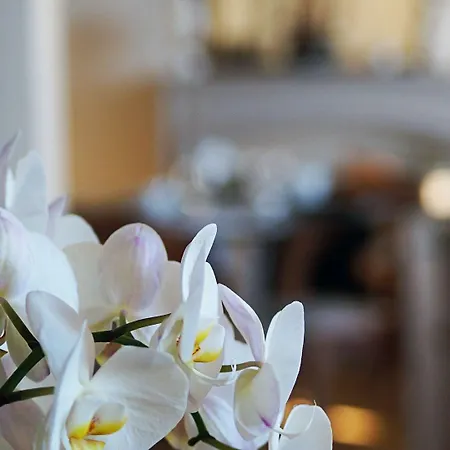 La Salamandre Beauvais