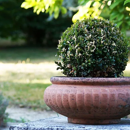 Guest house La Salamandre Beauvais