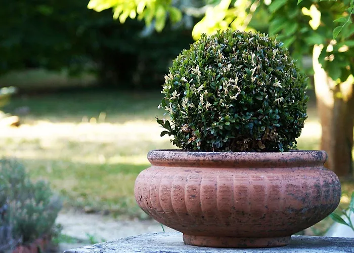 Guest house La Salamandre Beauvais